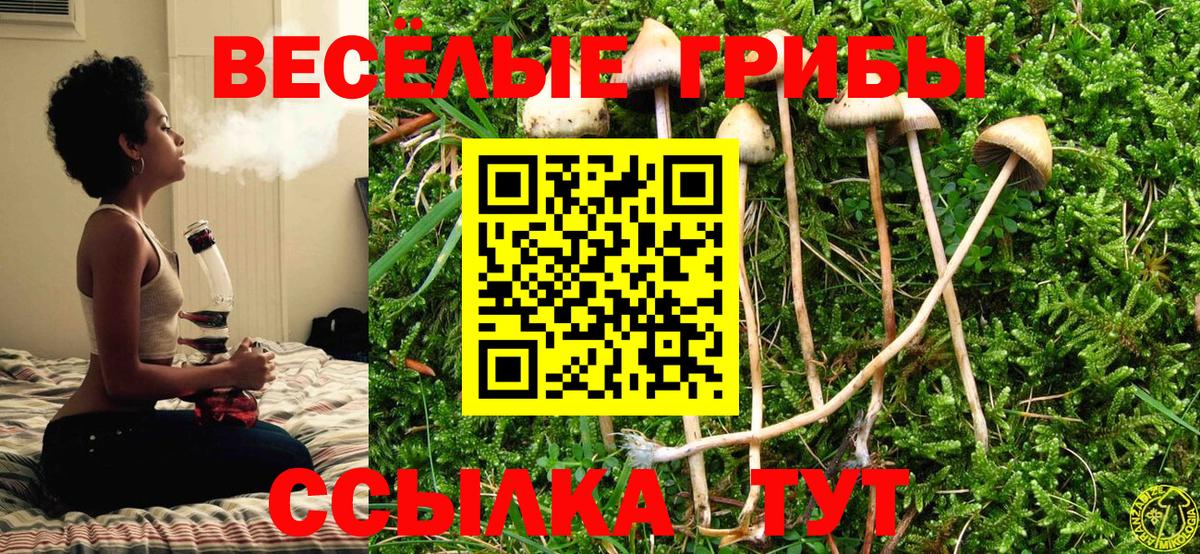 Псилоцибиновые грибы GOLDEN TEACHER  Вход с VPN  Галлюциногенные грибы Magic Shrooms  Нефтеюганск 